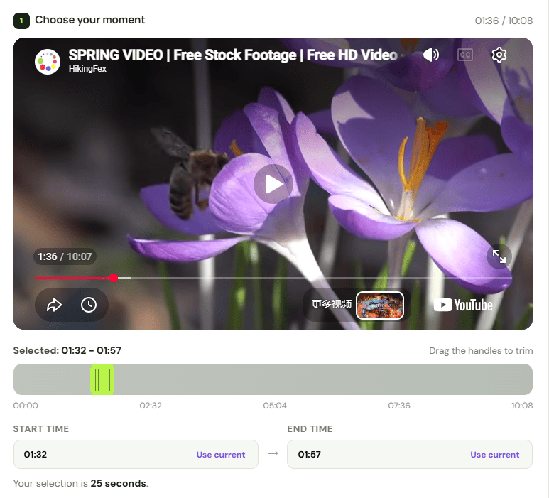 Setting the start and end times for a YouTube clip in ytcliply